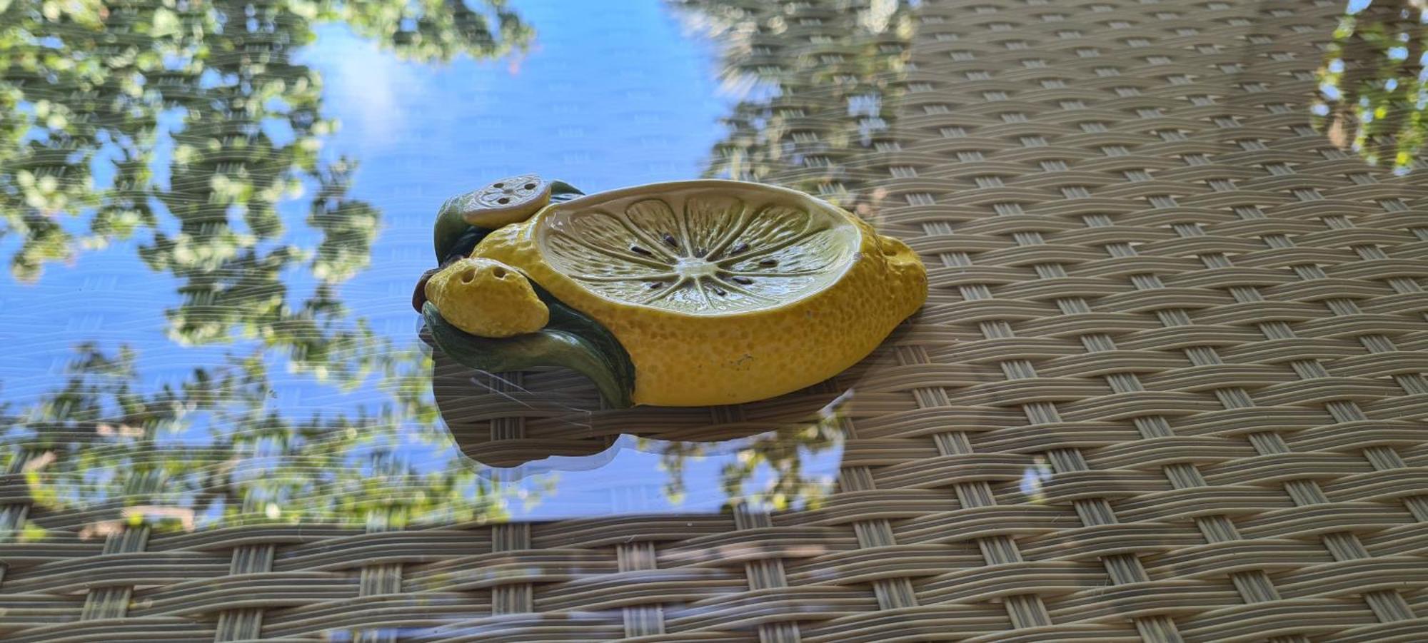 מלון פונזה La Limonaia A Mare מראה חיצוני תמונה